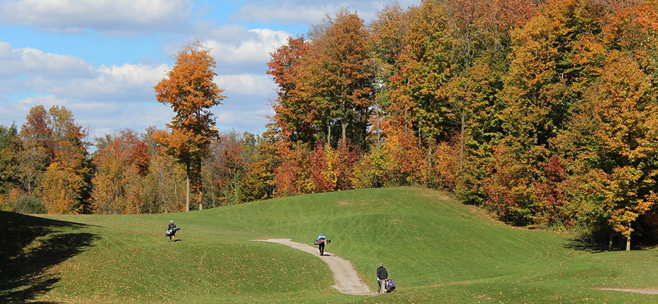 Picture of golf course